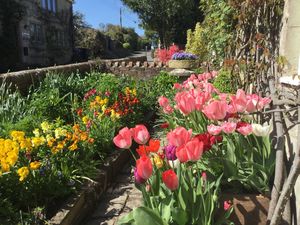 Garden in Spring- click for photo gallery